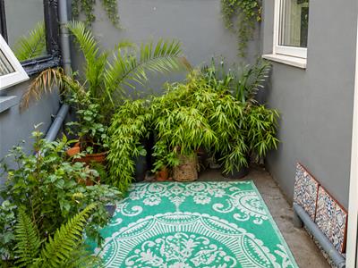 Picture 23